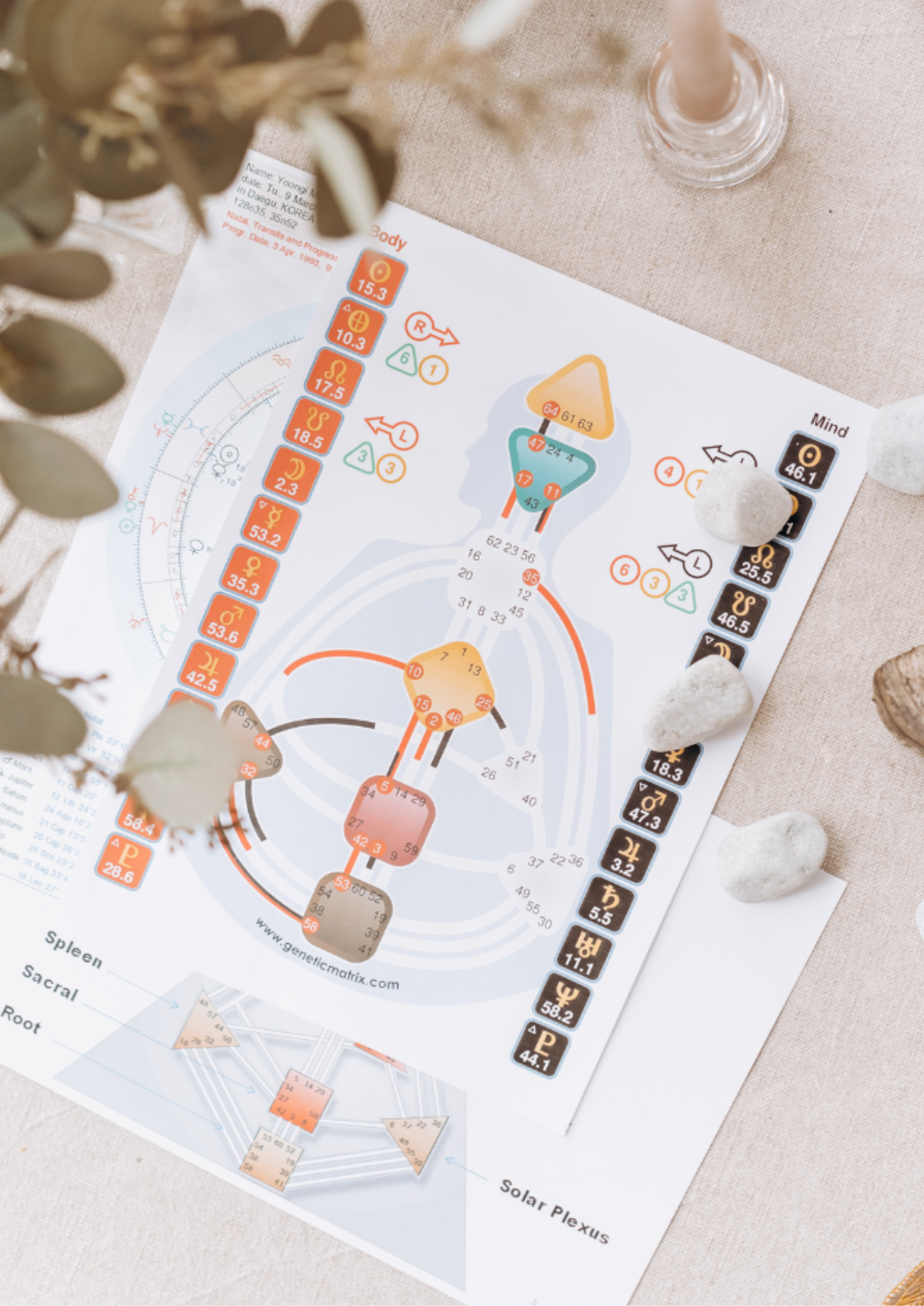 Human Design Life Alignment Session - 90 min